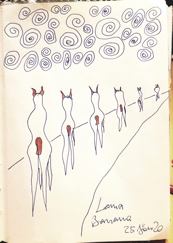 Lama Banana – Ansicht 1