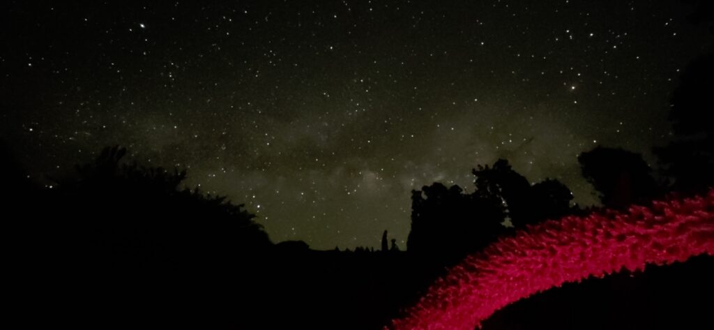 La Palma – Ansicht 3